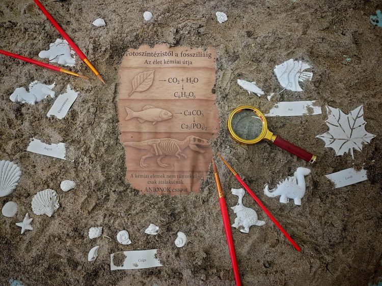Meghoztuk a fosszíliás válogatásunkat